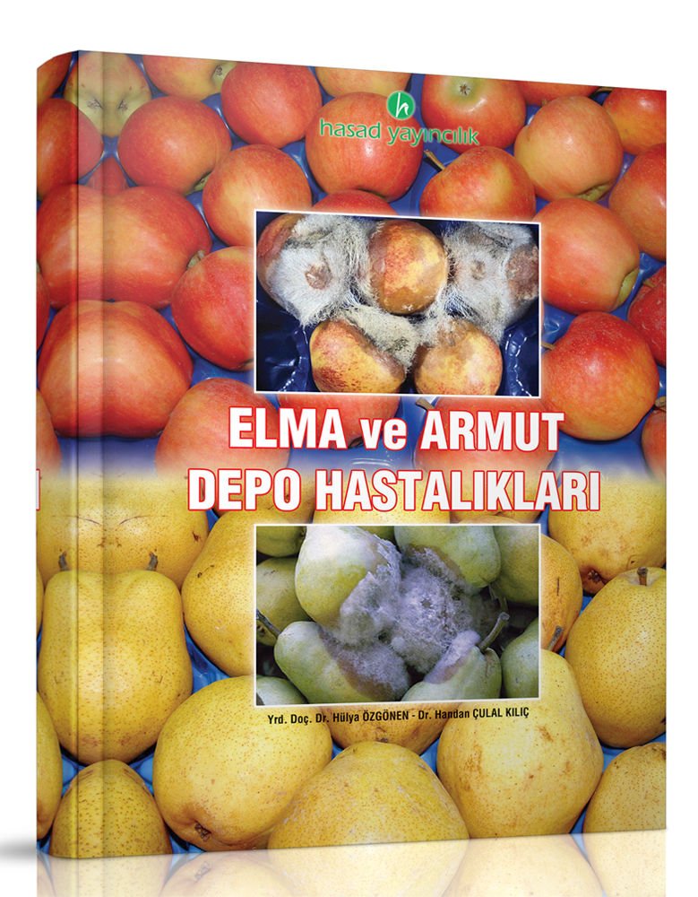 Elma Ve Armut Depo Hastalıkları