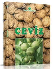 Ceviz