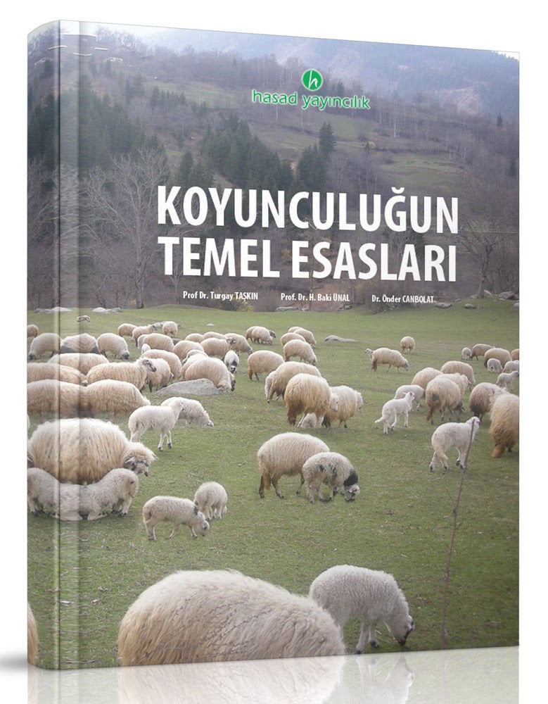 Koyunculuk