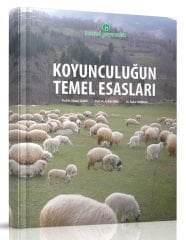 Koyunculuk