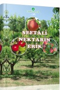 Şeftali-Nektarin-Erik